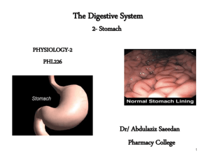 The gastric juice
