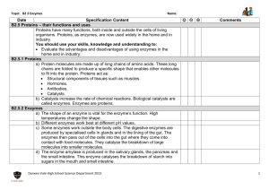 B2.3 Enzymes