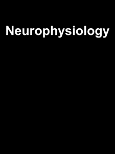 Neurophysiology