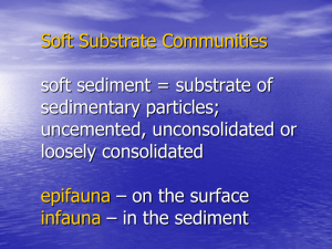 Soft Substrate Communities