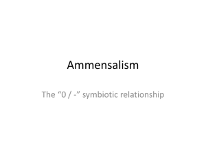 Ammensalism
