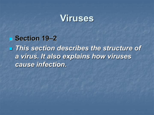 Viruses - Henrico