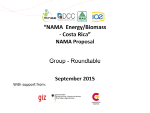 NAMA Energy Biomass