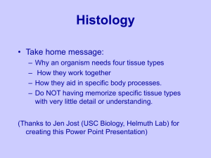 (quiz 2)-good disease.damage histology mystry