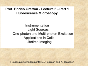 Fluorescence Microscopy - The Fluorescence Foundation