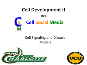 Cell Signaling and Disease (PowerPoint) Southeast 2013