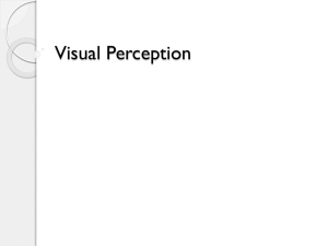 Visual Perception - Rosehill