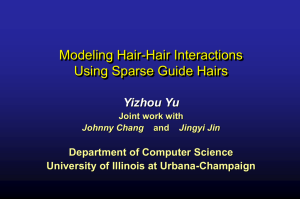 Hair Modeling and Animation - University of Illinois at Urbana