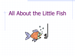 Fish Lecture 1
