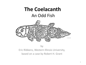 The Coelecanth - University at Buffalo