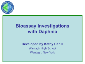 Bioassay Investigations Slides