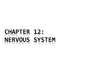 Chapter 12 Powerpoint