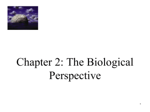 C2 - The Biological Perspective