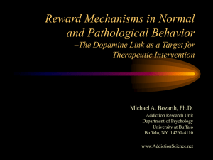 Reward Mechanisms in Normal and Pathological Behavior