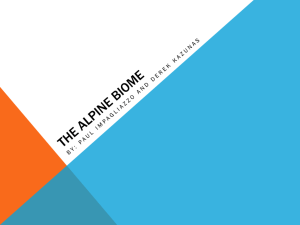 The Alpine biome
