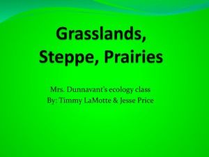 Grasslands, steppe, Prairies Draft