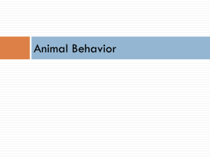 Animal Behavior - Dillon Environmental Science