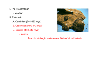 440paleozoic2