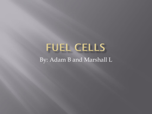 Fuel cells mjl5 and awb3