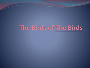 The Birds of The Birds