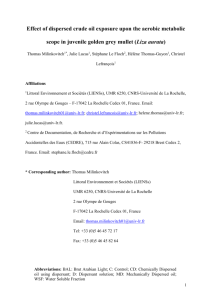 2.5 Evaluation of aerobic metabolic scope and critical swimming