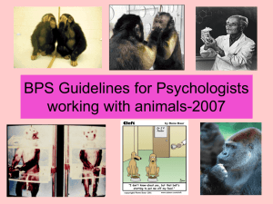 animal research pp f