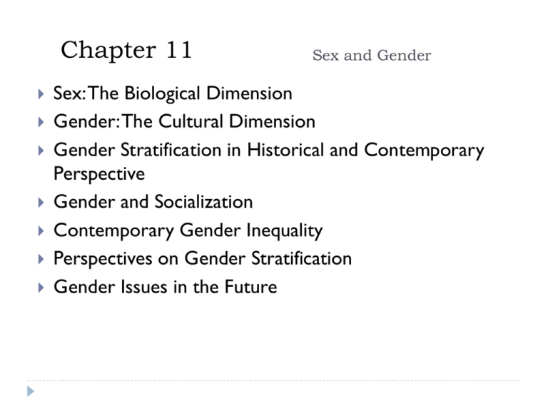 What Is The Conflict View On Gender Stratification