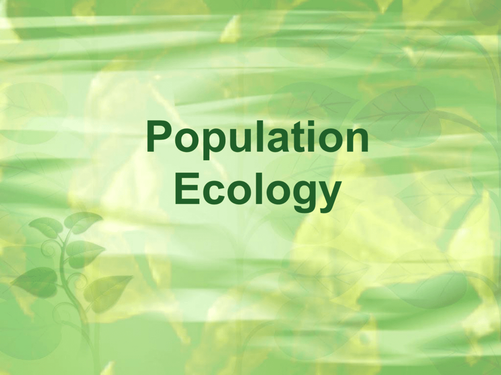 write an essay on population ecology