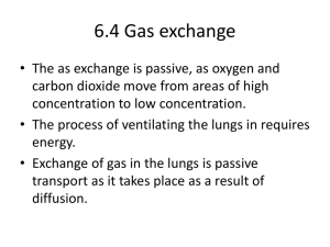 6.4 Gas exchange