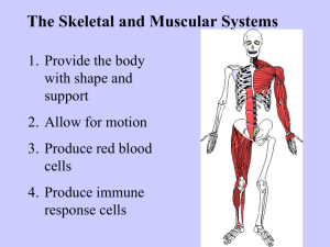 Human body systems tour--2015