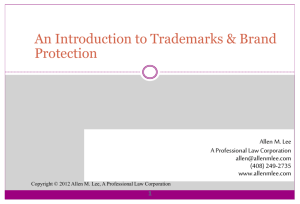 Introduction to Trademarks and Brand Protection slides