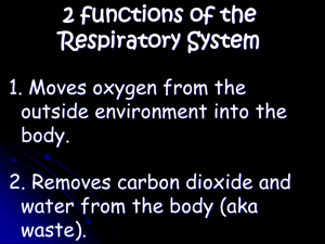 2 functions of the Respiratory System