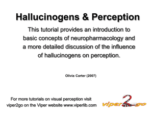 Hallucinogens & Perception
