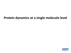 Protein dynamics - Biomolecular Engineering Laboratory