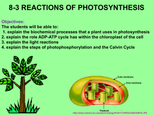 ATP synthase