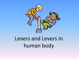 Levers and levers in human body