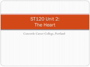 ST120 Unit 2: The Heart