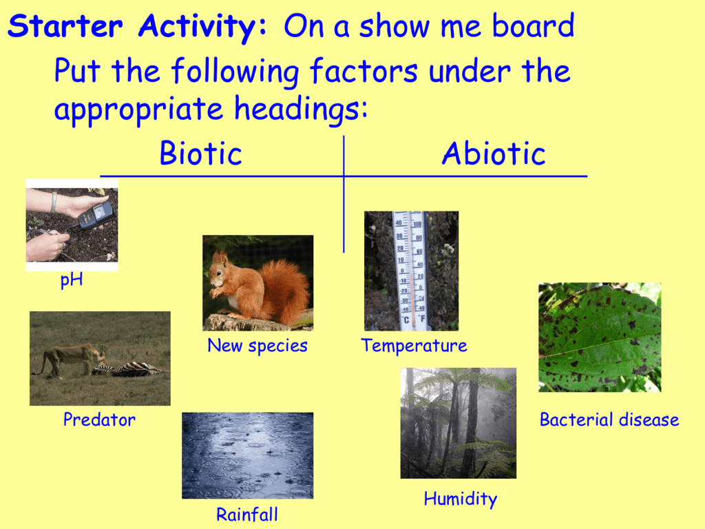 Describe How Abiotic Factors Affect Biotic Factors In An Environment