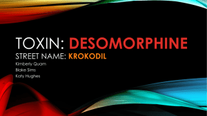 Desomorphine - UNM Biology