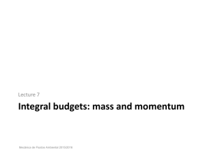 Integral budgets: mass and momentum