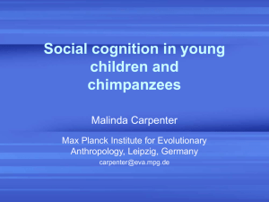 'Theory of mind': Children's and chimpanzees' understanding of