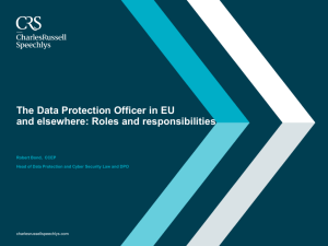 Roles and responsibilities of the Data Protection Officer