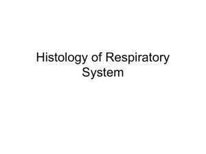 Histology of Respiratory System