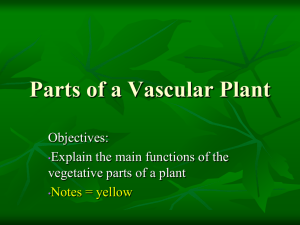 Parts of a plant - AdVENTUREScience-7th