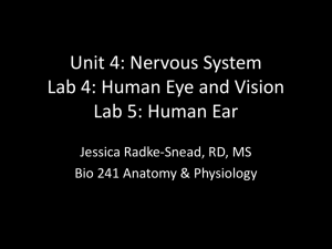 Unit 4: Nervous System Lab 4: Human Eye and Vision Lab 5