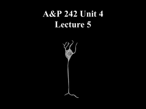 Bio 241 Unit 4 Lecture 5 PP