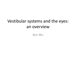 Ken Wu's Vestibular and Eye Tutorial 20/11/12