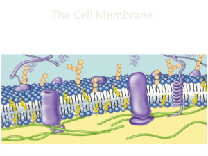 Diffusion powerpoint