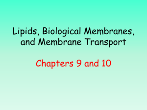 Lipid bylayers and Membranes
