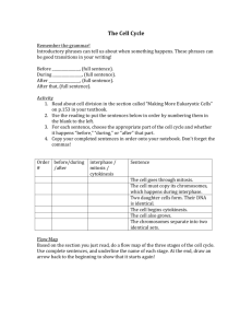 Cell Cycle worksheet